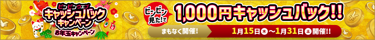 お年玉キャッシュバックキャンペーン