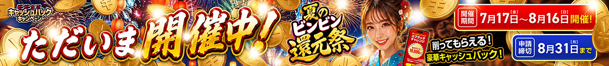 夏のビンビン還元祭