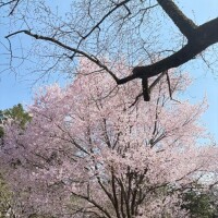 るる