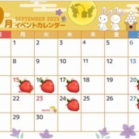 ゆあ
