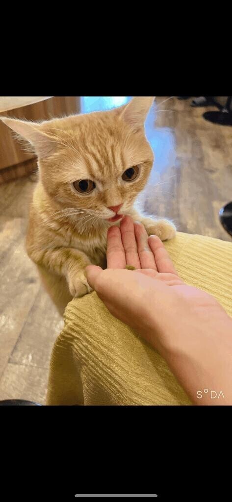 私の好きなこと??