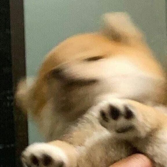 ごめんなさい??