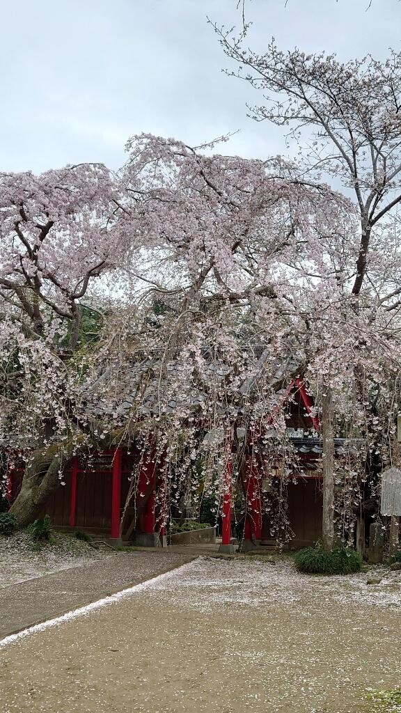 出勤