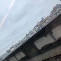 ひなた