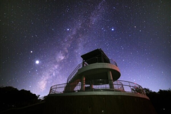 ココ100分のお兄さま