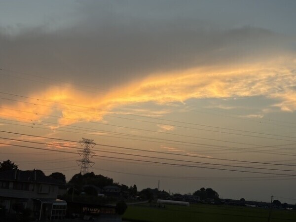 今日、、、