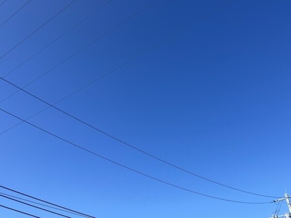 爽やかな朝☀️｡°