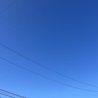 すず