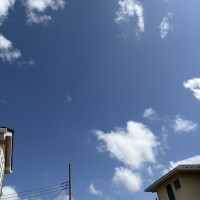 もな