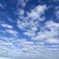 すず
