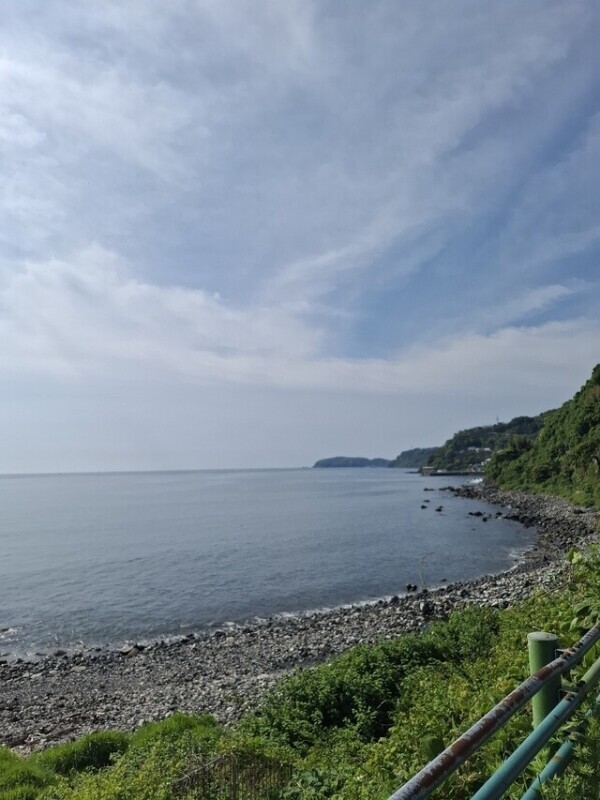 参加予定日