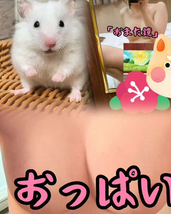ガウディウムのK様( ´∀`)