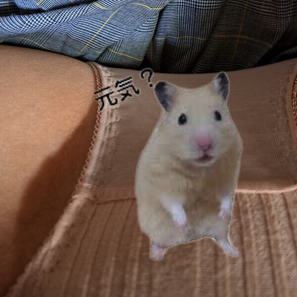 ＼・∫・💕／