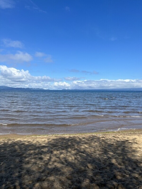 夏🏖