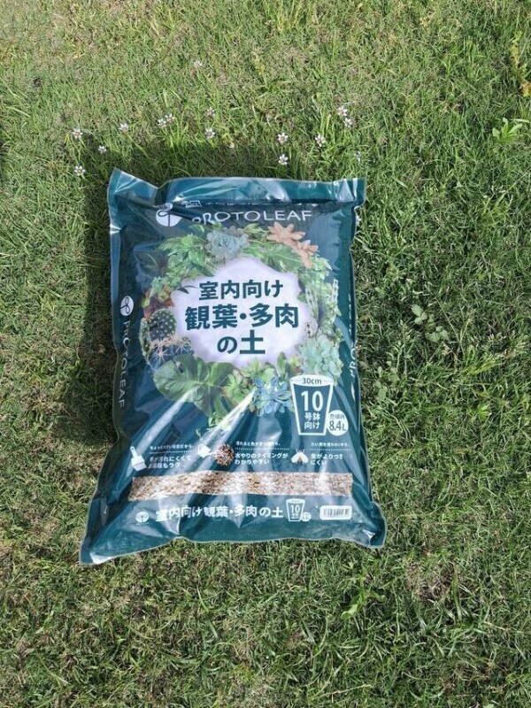 明日あさって参加します🍀