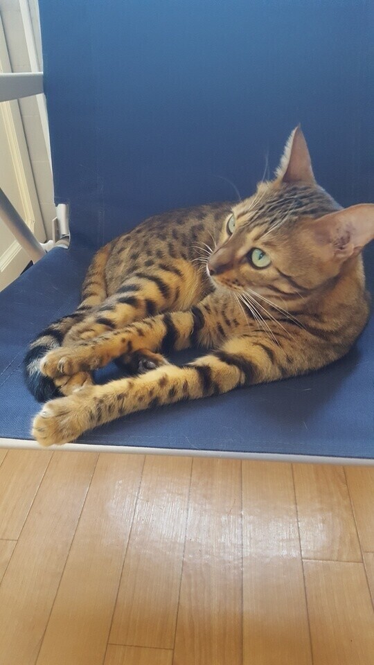 お題]from:columbooさん