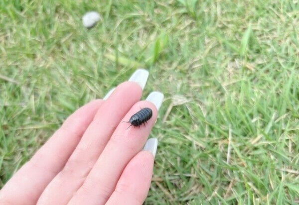 はじめまして♡