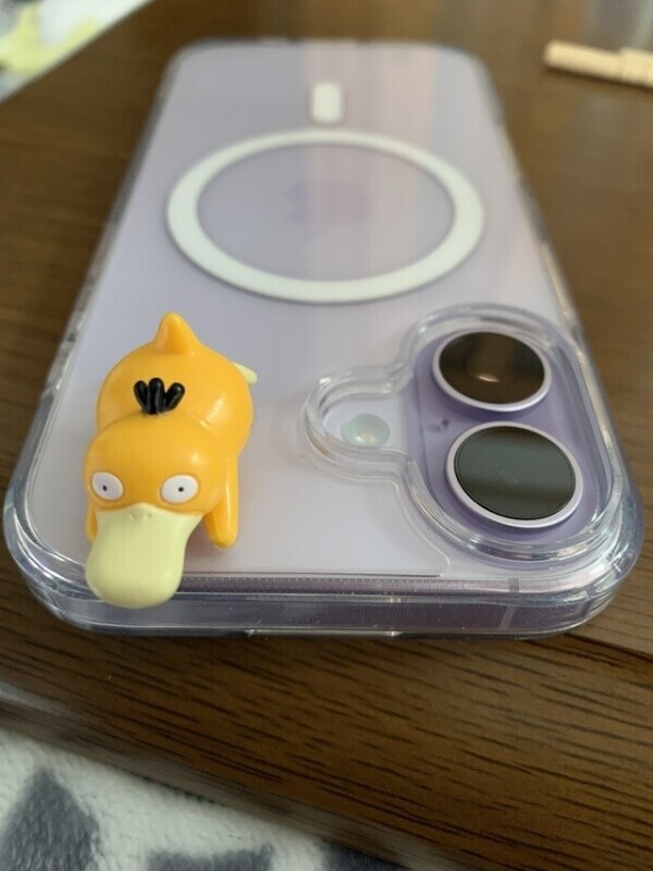 もなの新たな仲間🐥🐥🐥