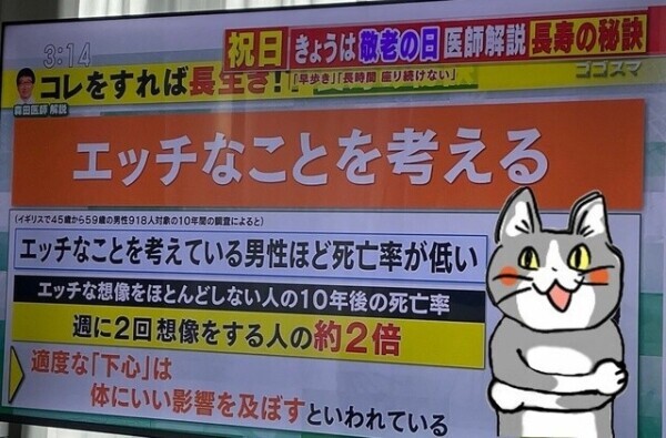 🤎怖くて触れないって？