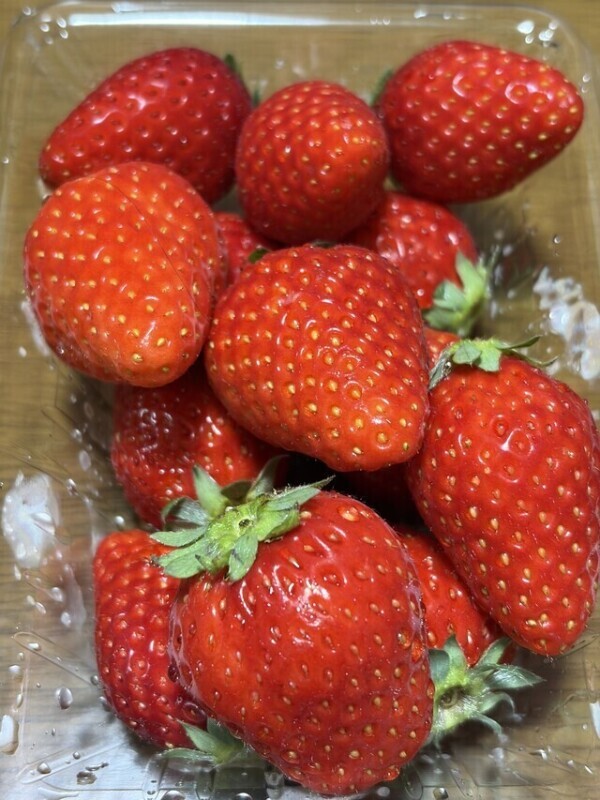 イチゴ大好き🍓🍓🍓