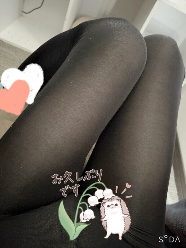 復帰しました🌸