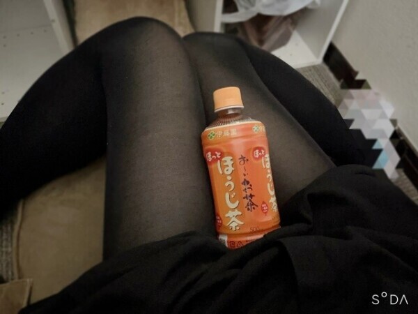 今日もいます🙌