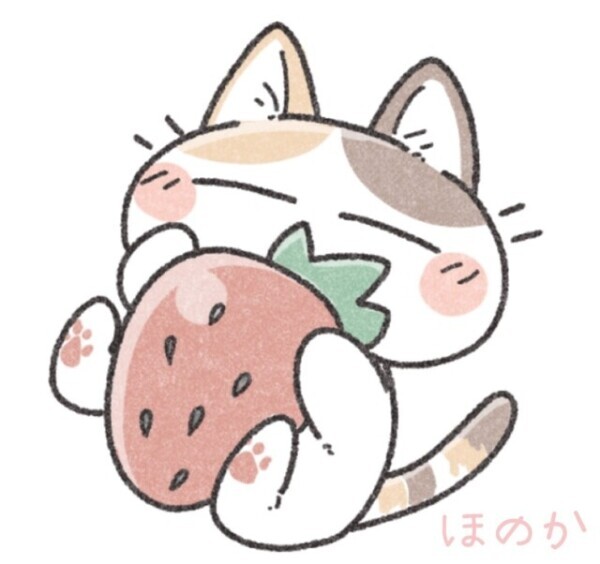 ฅ( • - • ฅ)ﾊｼﾞﾒﾏｼﾃ💗