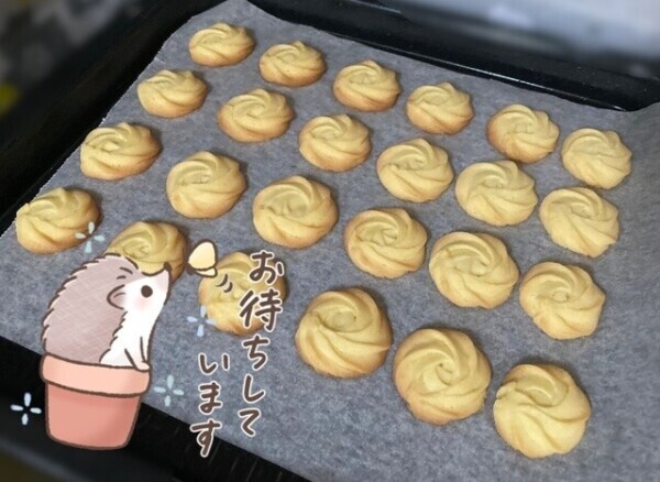 即ヒメ割始まってます🌱‬‪