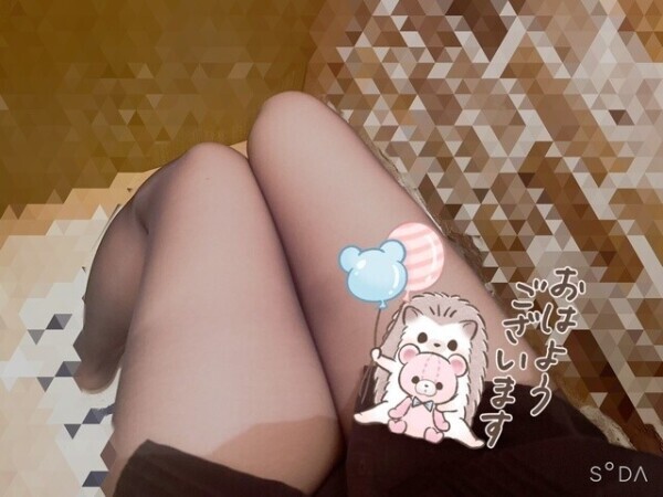 ~本日の予定~