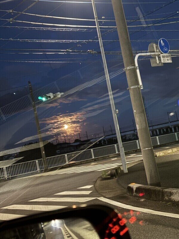 たまたま