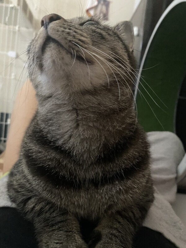 🈳いたぞいっ❤️‍🔥