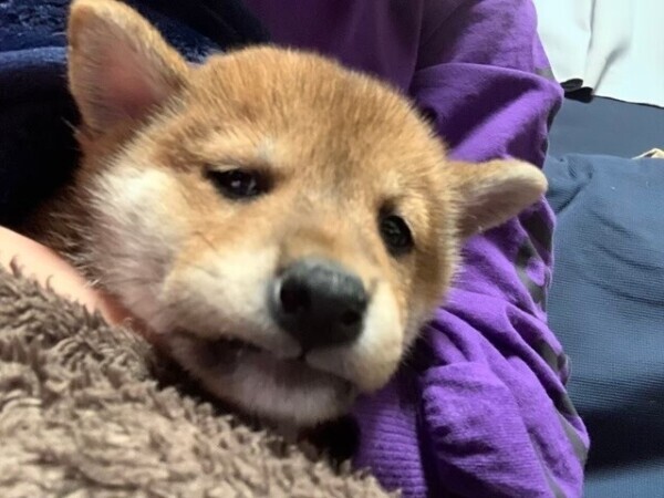 〜次回20時30分頃〜🈳