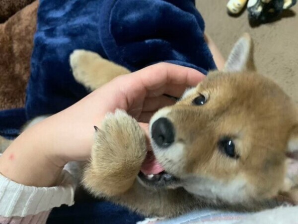 次回1時半頃〜🈳
