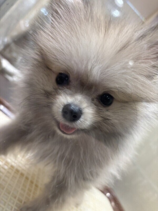 空きました🙋🏻‍♀️