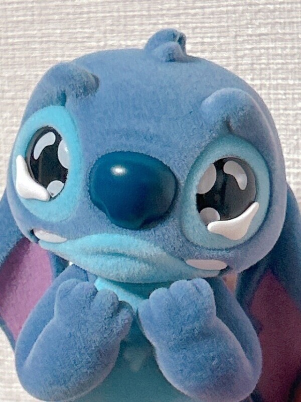 今日の夜😢