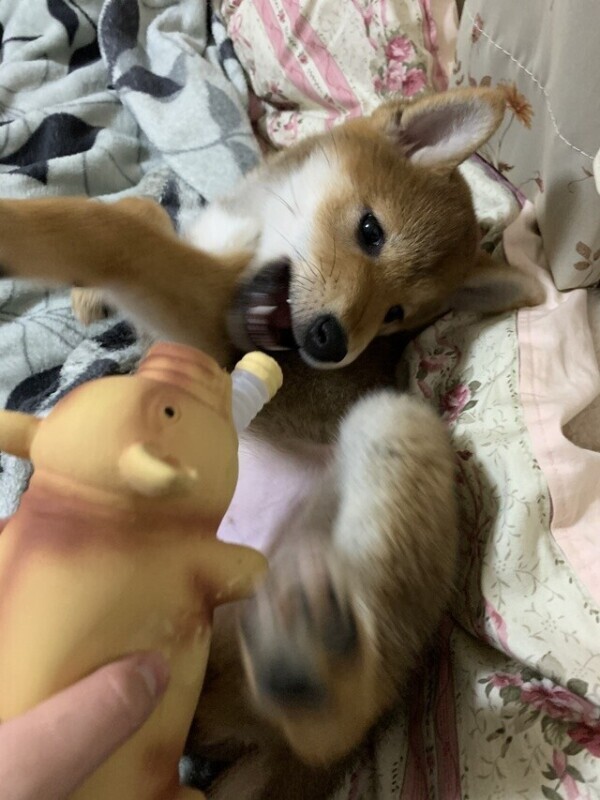 🈳いたぞいっ❤️‍🔥