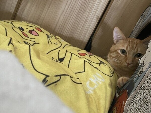 次回23時頃〜🈳