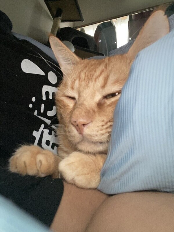 今日から