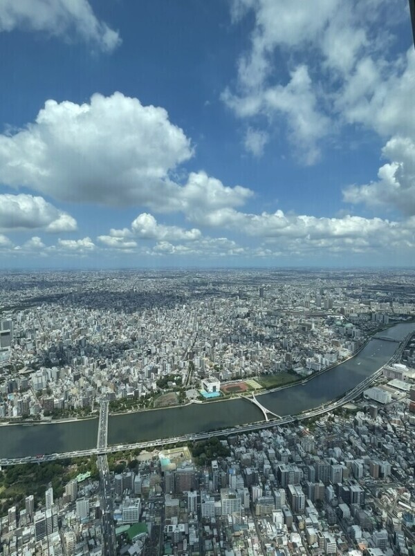 休日の早起き