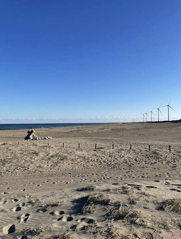 待ちに待った‼️