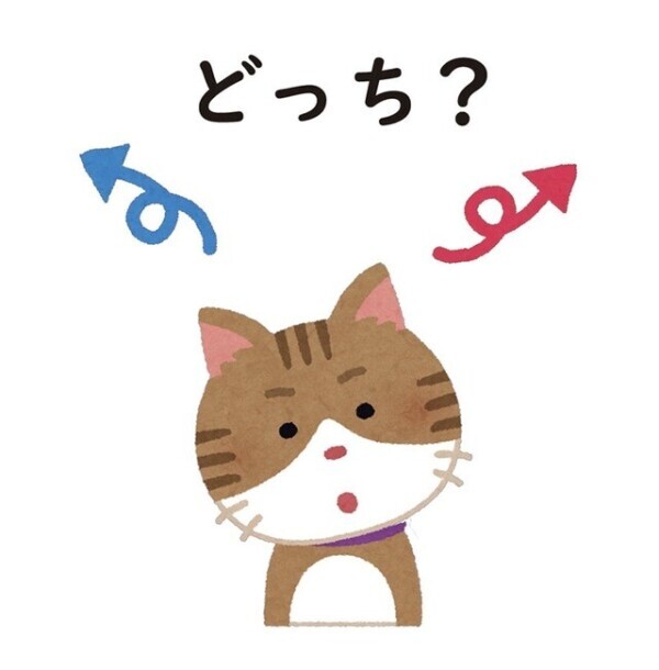 あなたはどっちだった？🤔