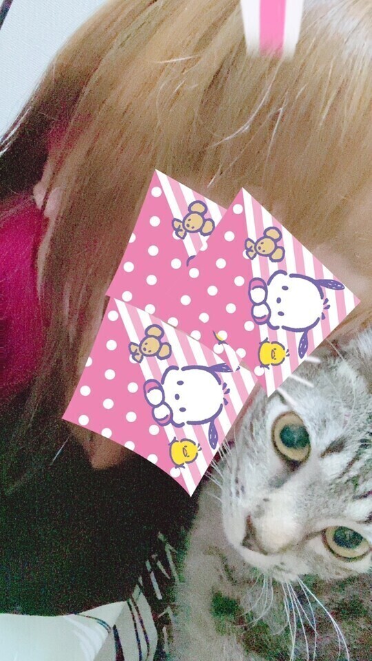 次回22時半後〜🈳