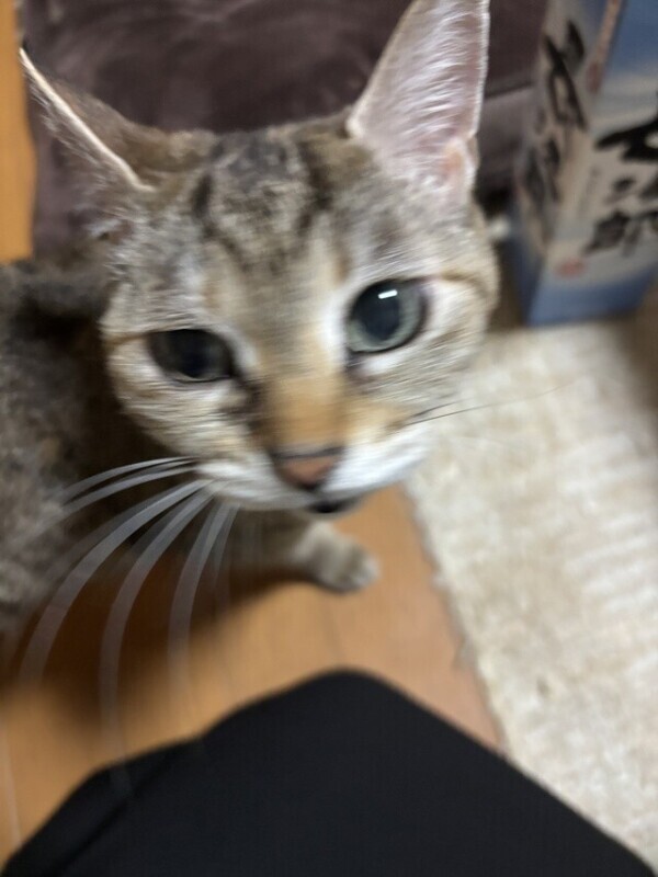 お礼