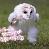 あゆみ