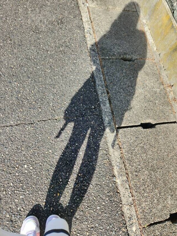 おはようございます(꒪˙꒳˙꒪ )