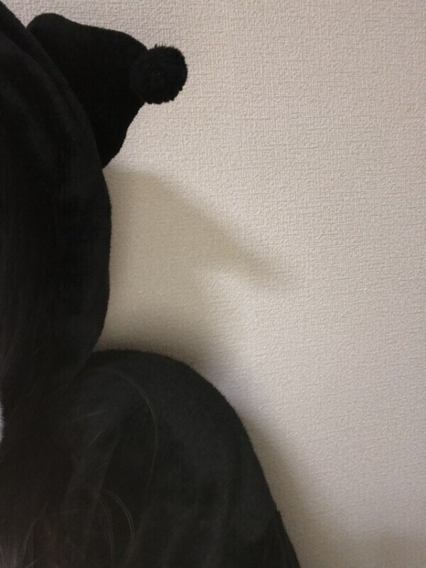次枠のおしらせ！