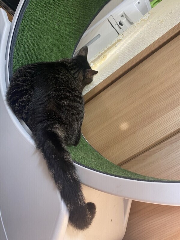 次回1時40分頃〜🈳