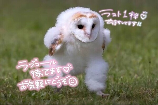 次のご案内は3：00以降〜🈳