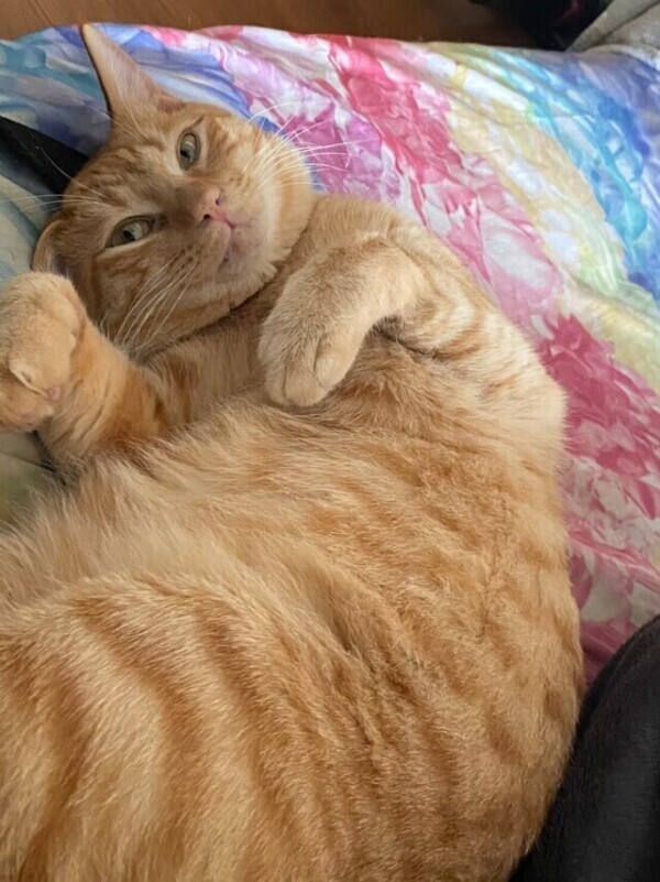 次回20時20分頃〜🈳