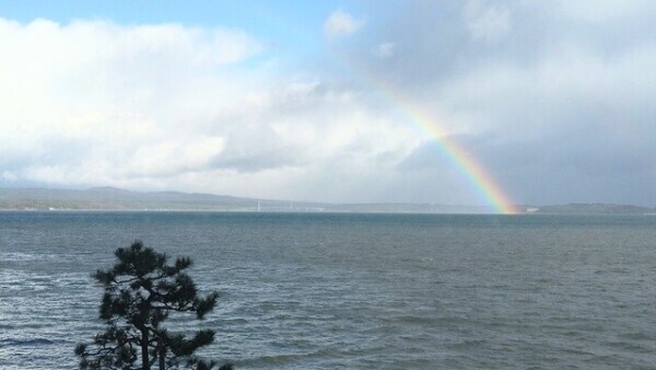 明日18時〜❣️